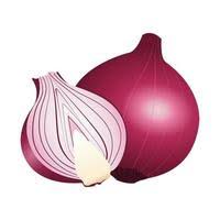 Onion